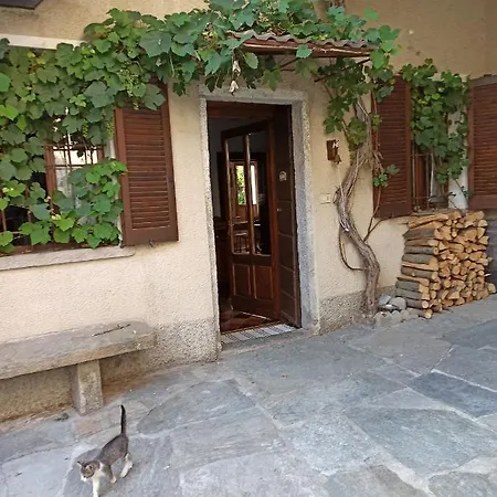 Casa Olmi Dependance דירה